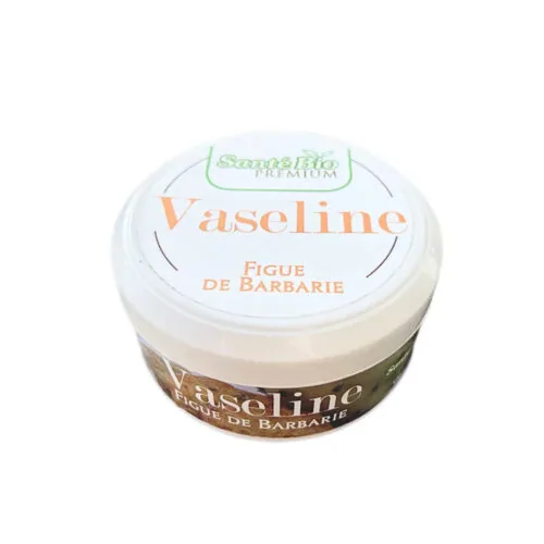 SANTÉ BIO Vaseline Figue de Barbarie 120ml