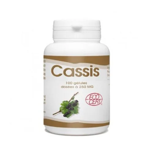 GPH DIFFUSION Cassis 100 Gelules 250mg