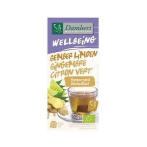 DAMHERT Tisane Gingembre Citron 20 sachets