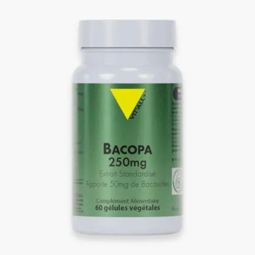 VITALL+ Bacopa 250mg Extrait Standardise 50mg de Bacosides 60 Gelules